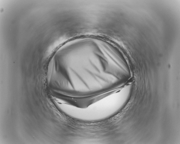 X0000088601359200706221355