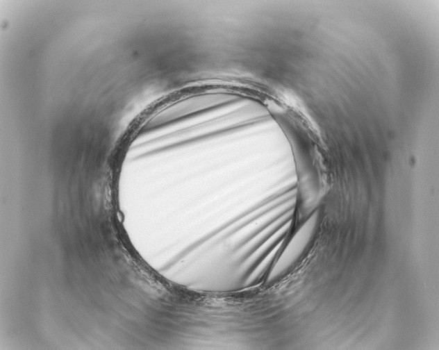 X0000088601360200706221355