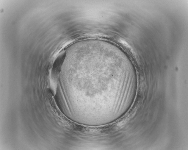 X0000088601361200706221355