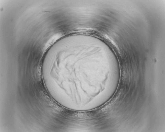 X0000088601362200706221355