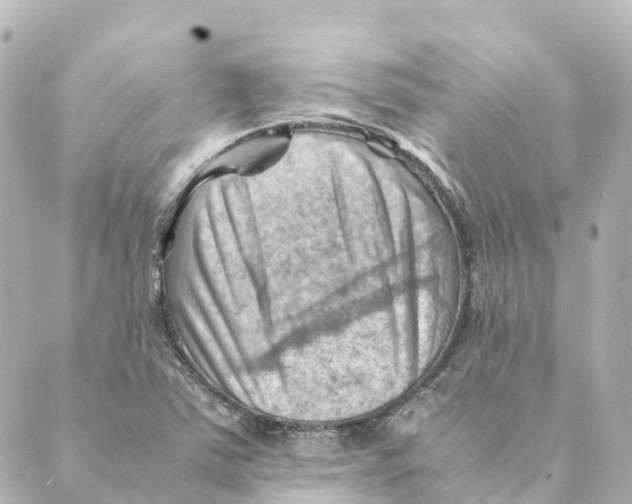 X0000088601363200706221355