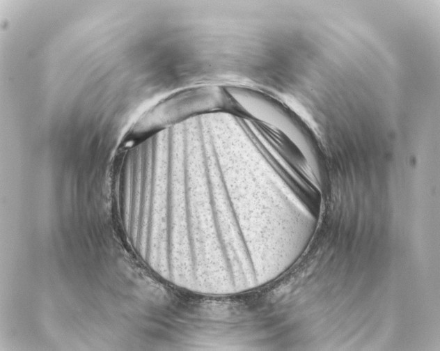 X0000088601364200706221355