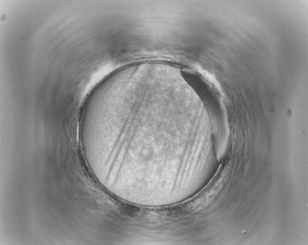 X0000088601365200706221355