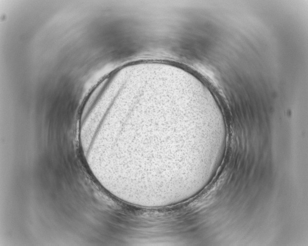 X0000088601366200706221355