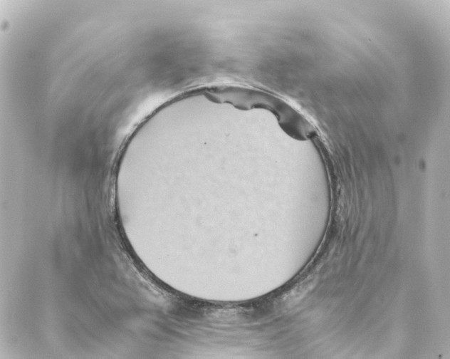 X0000088601367200706221355