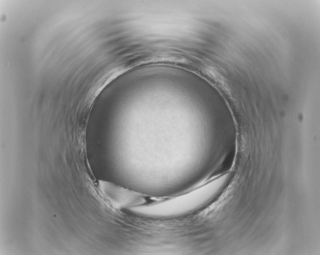 X0000088601369200706221355