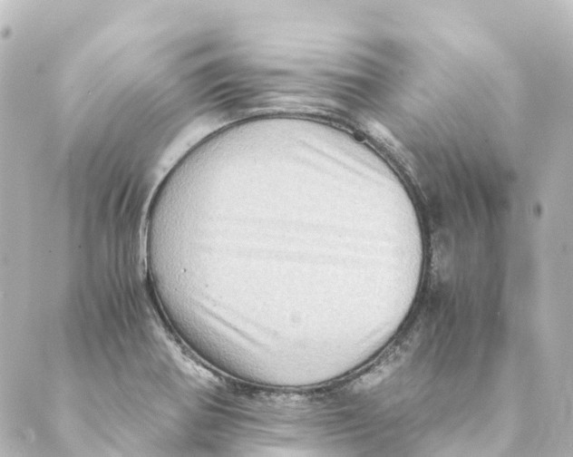 X0000088601370200706221355