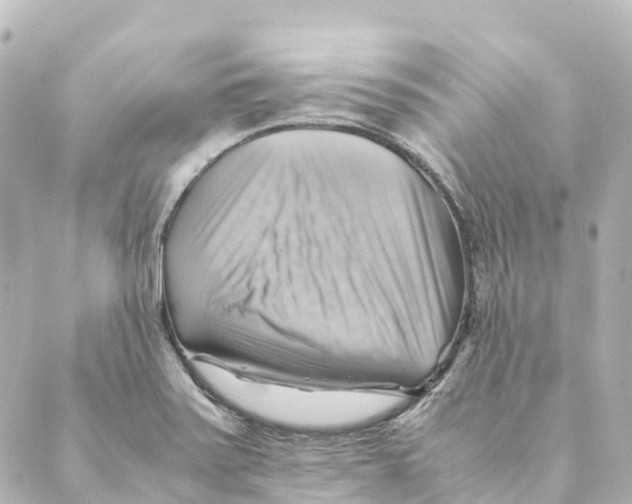 X0000088601371200706221355