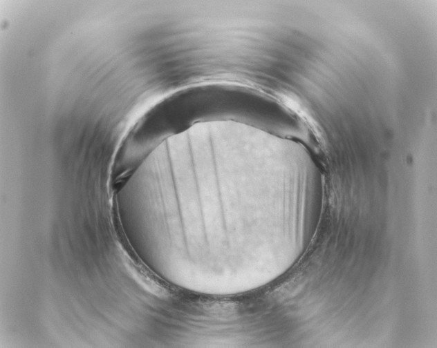 X0000088601372200706221355