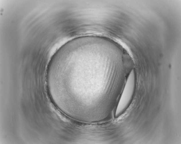 X0000088601373200706221355