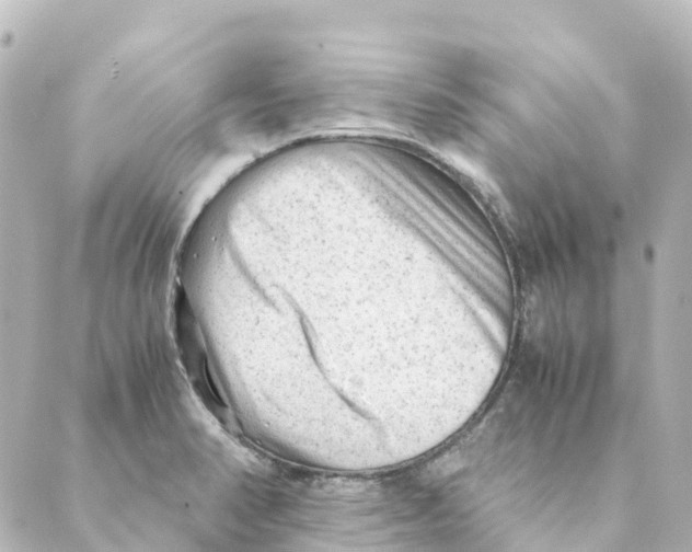 X0000088601374200706221355