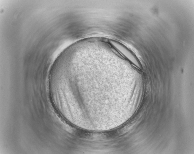 X0000088601375200706221355