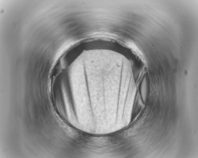 X0000088601376200706221355