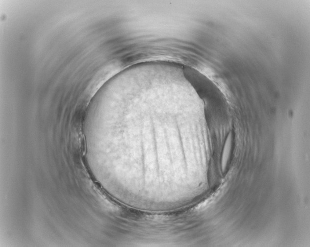 X0000088601377200706221355