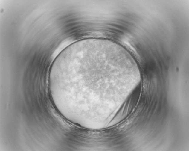 X0000088601378200706221355