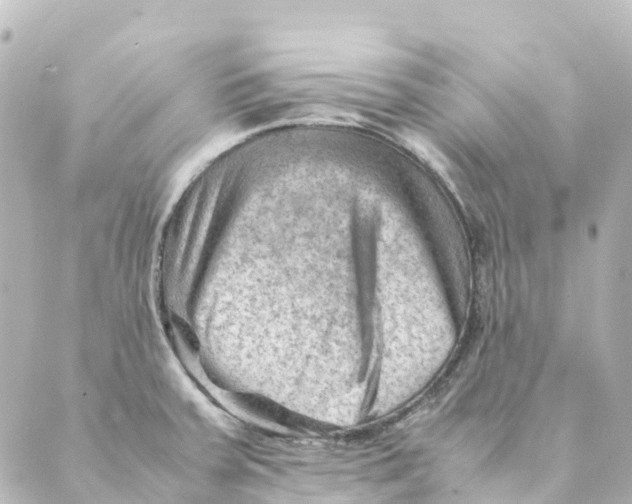 X0000088601379200706221355