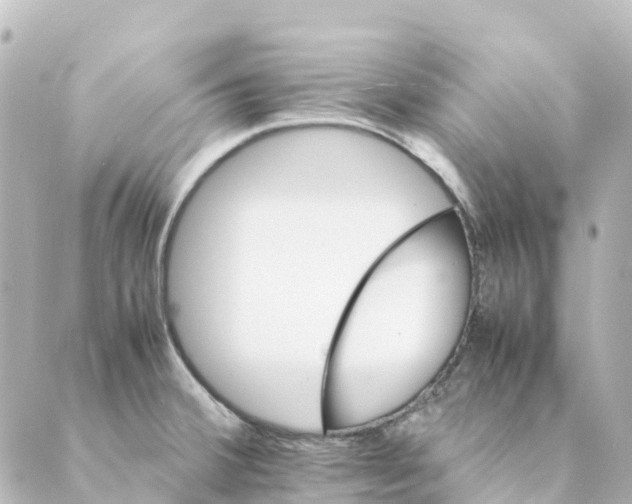 X0000088601380200706221355