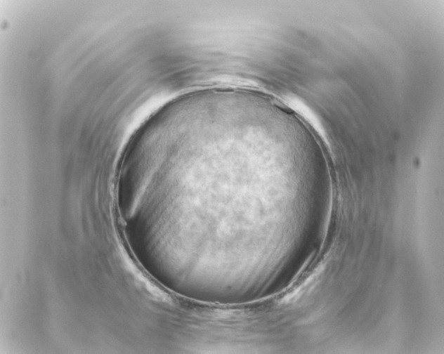 X0000088601381200706221355