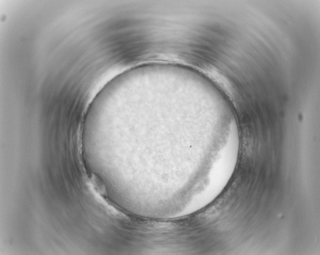 X0000088601382200706221355