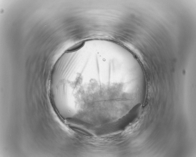 X0000088601383200706221355