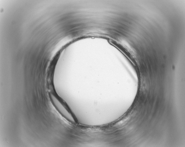 X0000088601384200706221355