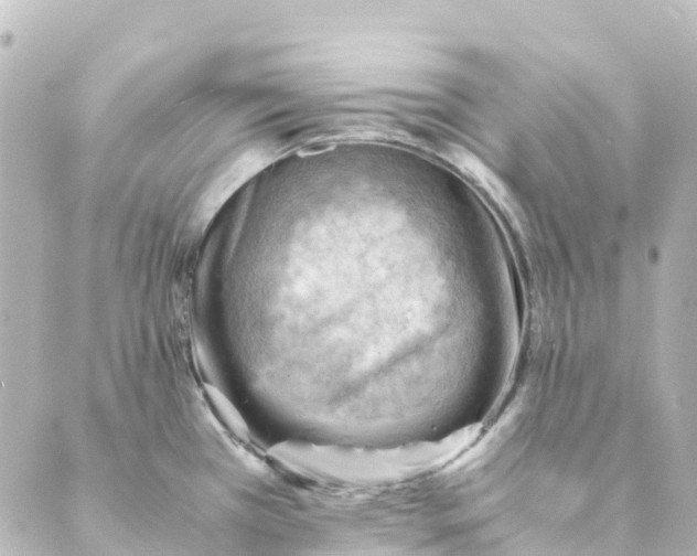 X0000088601385200706221355