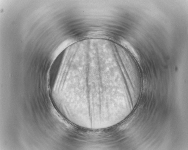 X0000088601386200706221355