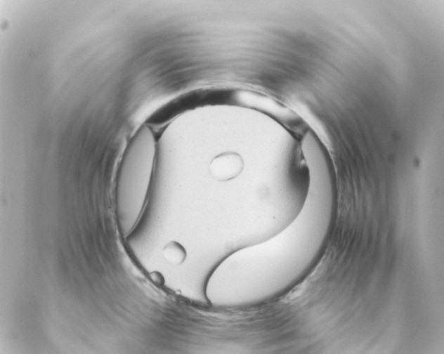 X0000088601388200706221355