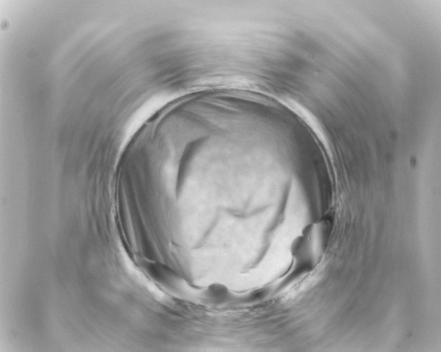 X0000088601389200706221355