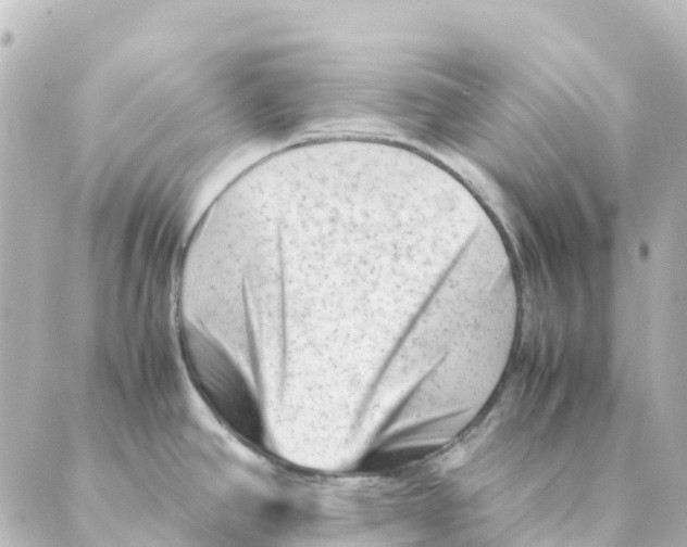 X0000088601390200706221355