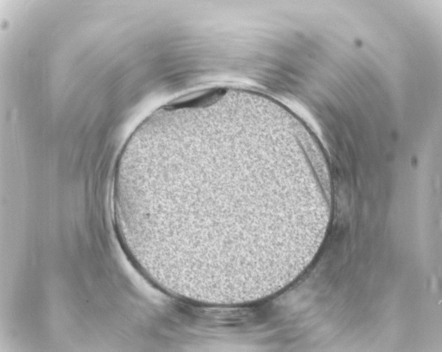 X0000088601391200706221355