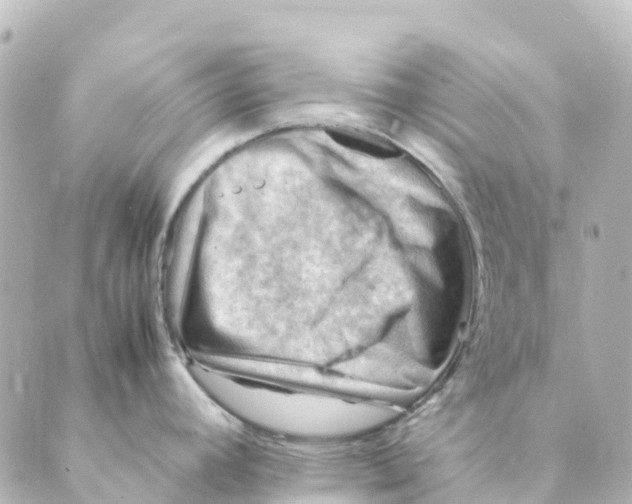 X0000088601392200706221355