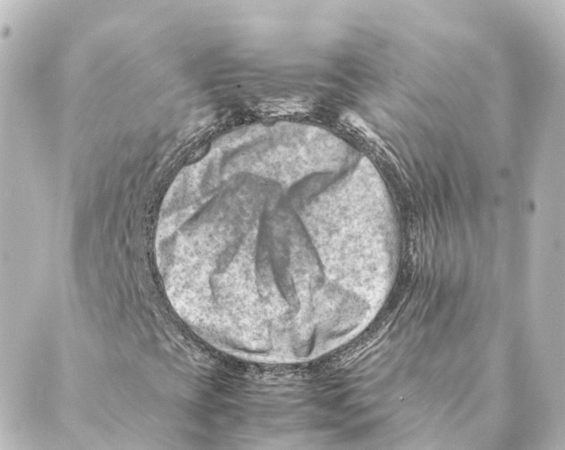 X0000088601393200706221354