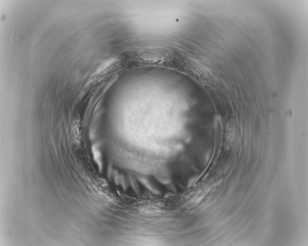 X0000088601394200706221354