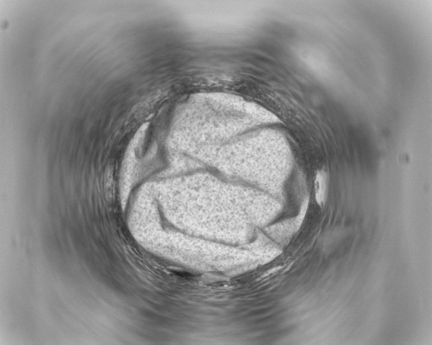 X0000088601395200706221354