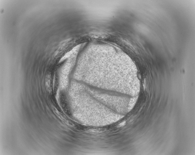 X0000088601396200706221354