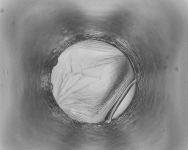 X0000088601397200706221354