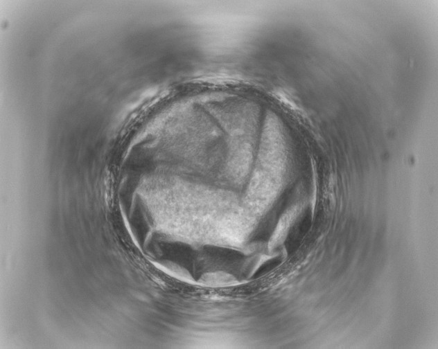 X0000088601398200706221354