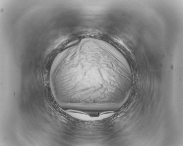 X0000088601399200706221354