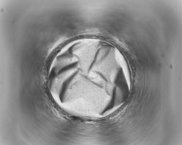 X0000088601400200706221354