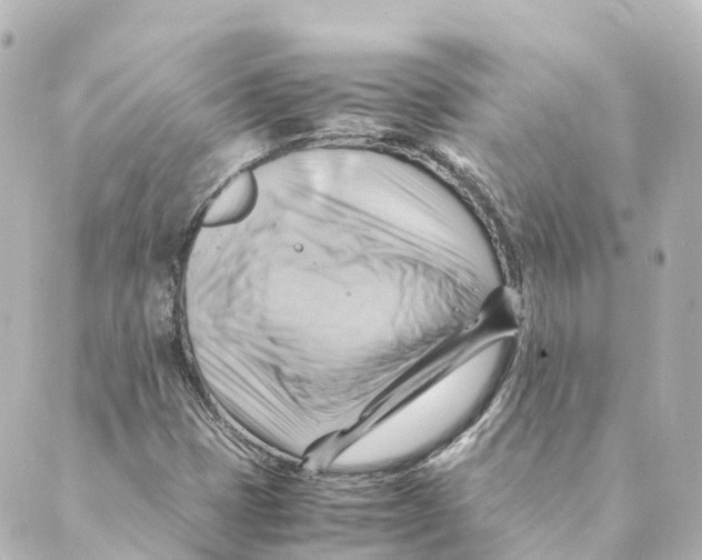 X0000088601401200706221354