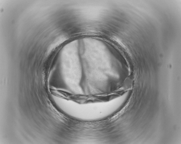 X0000088601402200706221354