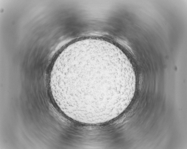 X0000088601404200706221354