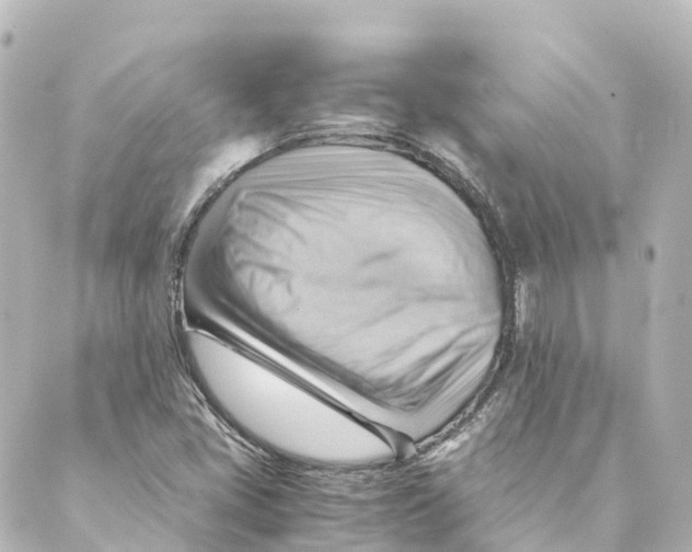 X0000088601405200706221354