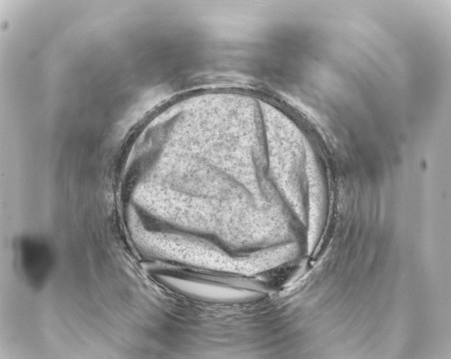 X0000088601407200706221354