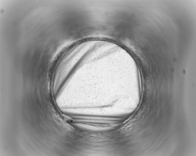 X0000088601408200706221354