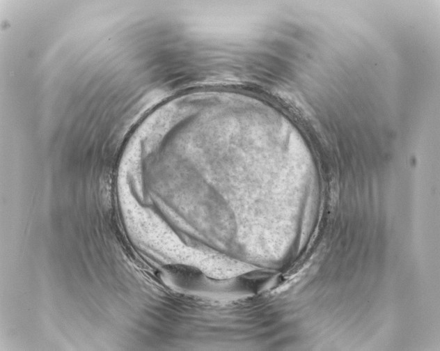 X0000088601409200706221354