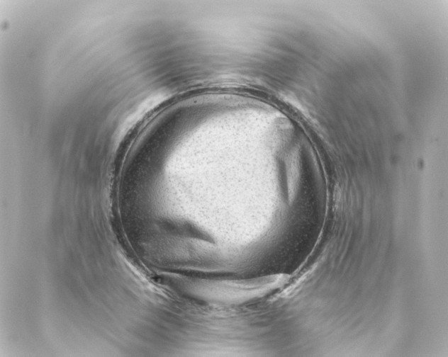 X0000088601410200706221354