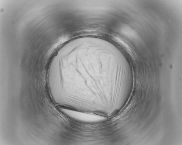 X0000088601411200706221354