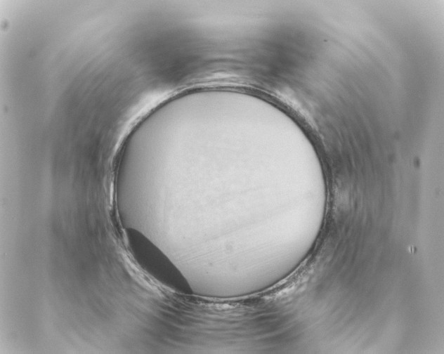 X0000088601413200706221354